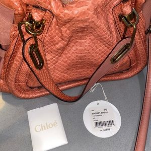 Chloe Paraty Python Medium in Lychee (Coral, Peach)